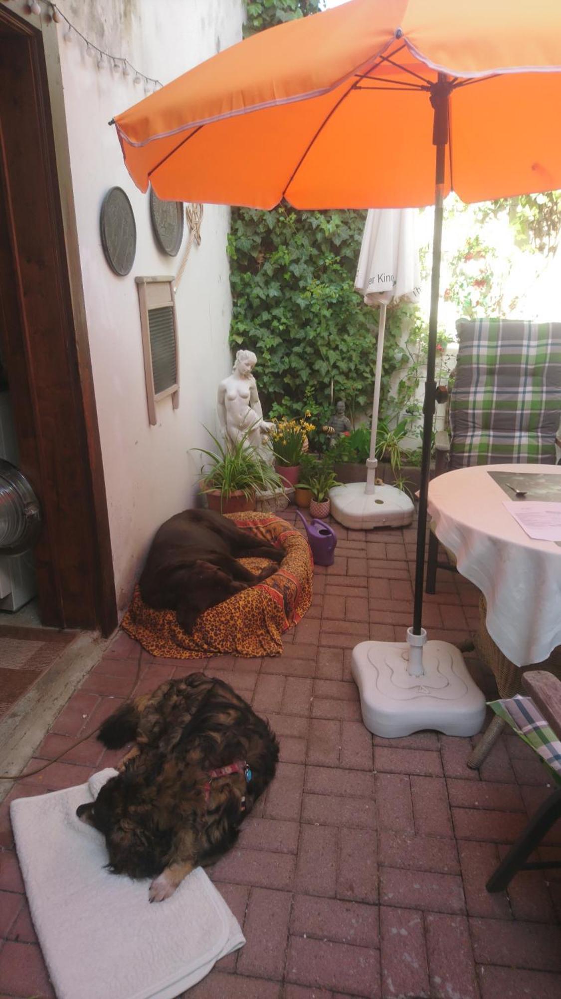 Ferienwohnung Haus zum kleinen Helm Erfurt Exterior foto